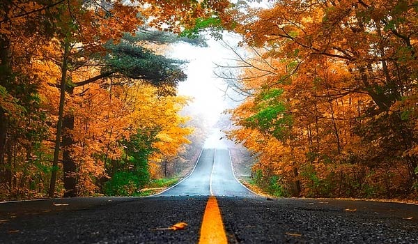 fall-colors fall-colors