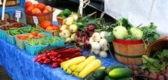 Brainerd MN Farmers Market