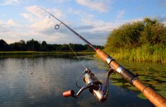 Brainerd Lakes Fishing Reports