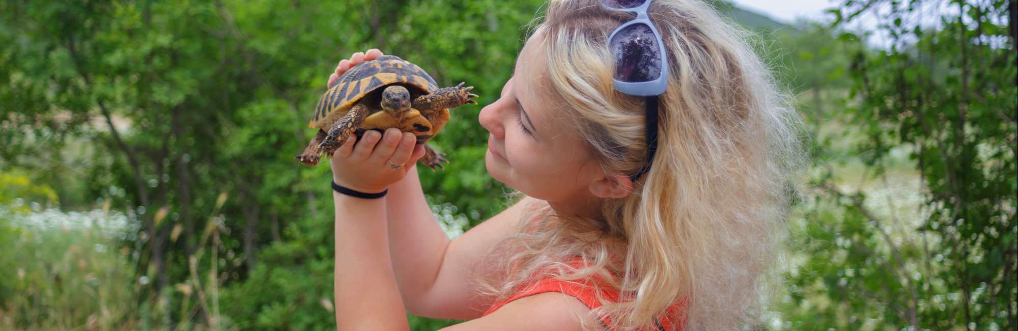 Slide-Events-Turtle-Races