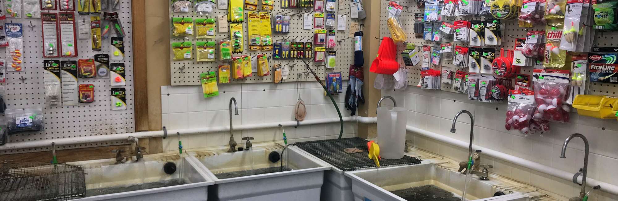 Brainerd Bait Shops & Fishing Tackle - MN Live Bait - Fishing