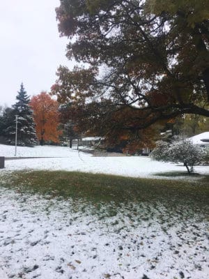 oct-11-2018-snowfall