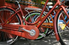 a row of bikes on a sunny day