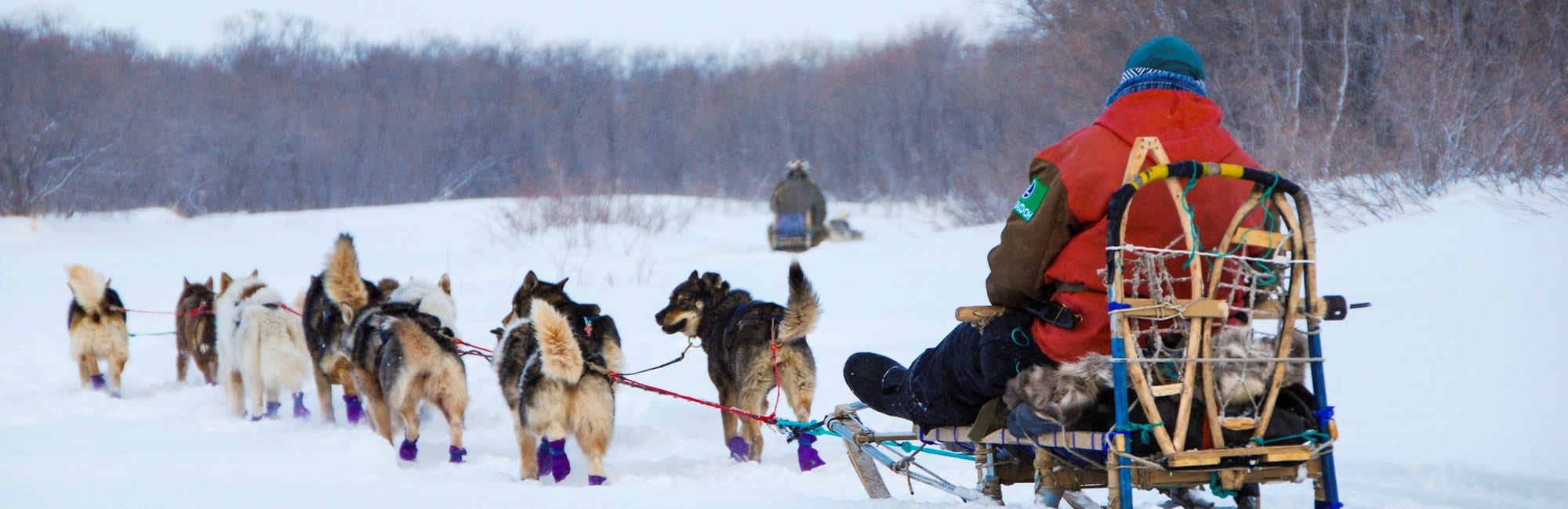 slide-winter-dog-sledding