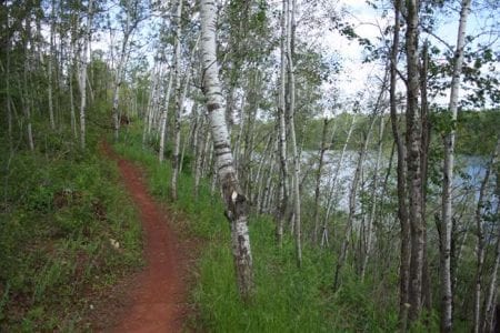 cuyuna-mountain-bike-trail-26