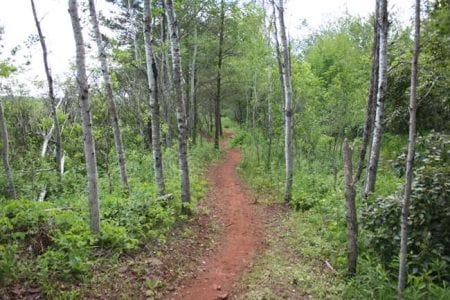 cuyuna-mountain-bike-trail-27