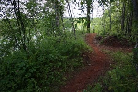 cuyuna-mountain-bike-trail-29