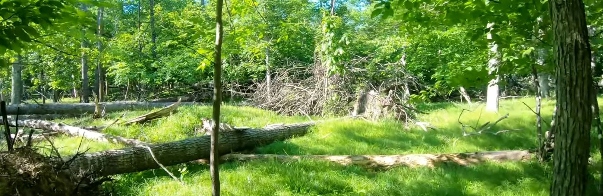slide-blog-burial-mounds slide-blog-burial-mounds
