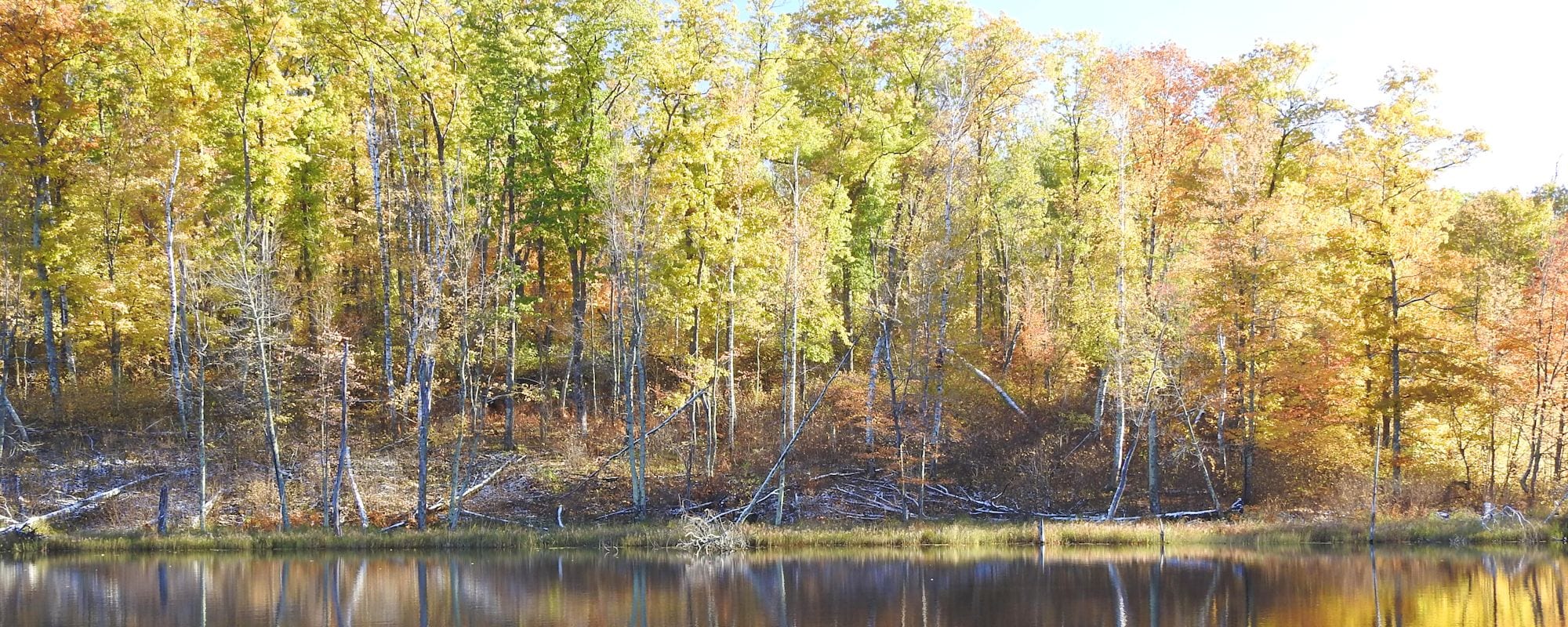 Minnesota Fall Colors: Fall Tours Brainerd Minnesota - Bay Lake Fall ...