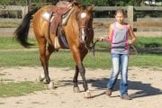 Outback Trail Rides