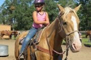 Outback Trail Rides