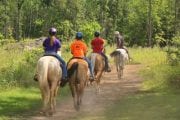 Outback Trail Rides