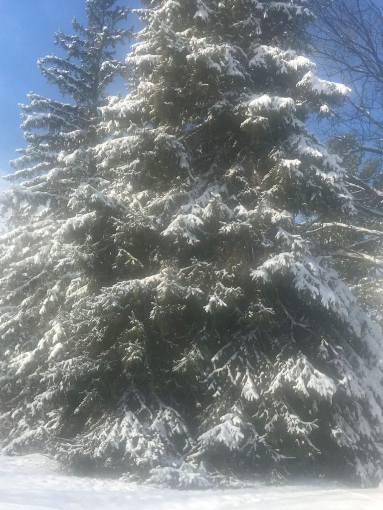 Snow Conditions Brainerd MN Snow Report Local Weather Snowmobile