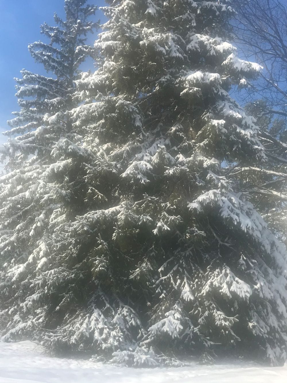 brainerd-snow-10-10-2020