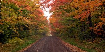 Fall Color Tours